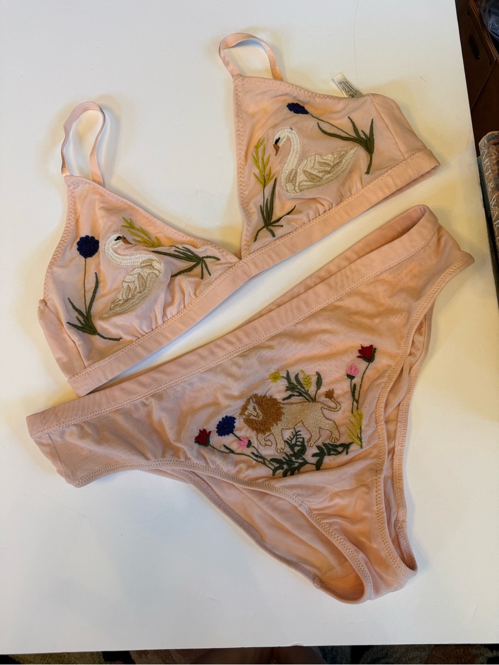 Anthropologie Lyrebird Blush Pink Embroidered Mesh Triangle Bralette & Panty XL
